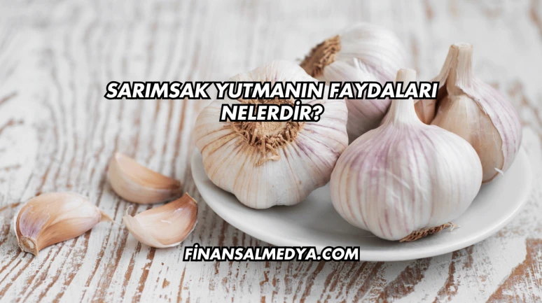 Sarımsak Yutmanın Faydaları Nelerdir?