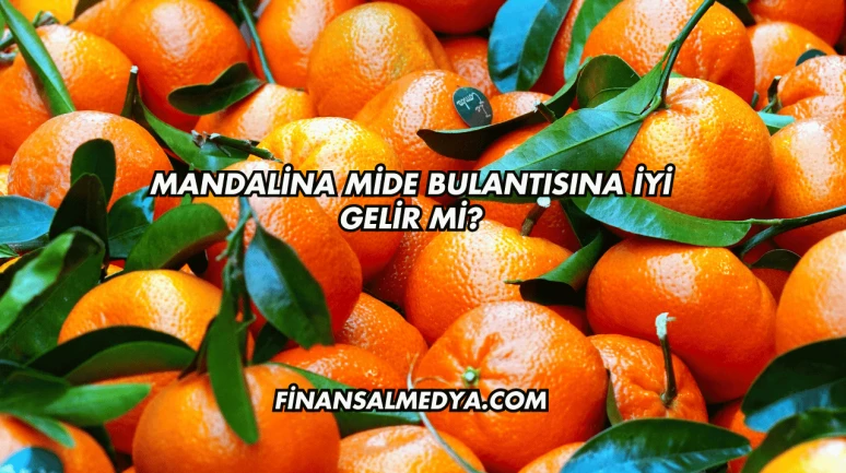 Mandalina Mide Bulantısına İyi Gelir mi?