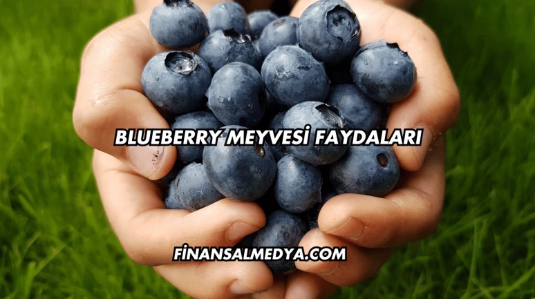 Blueberry Meyvesi Faydaları