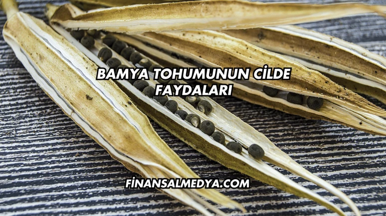Bamya Tohumunun Cilde Faydaları