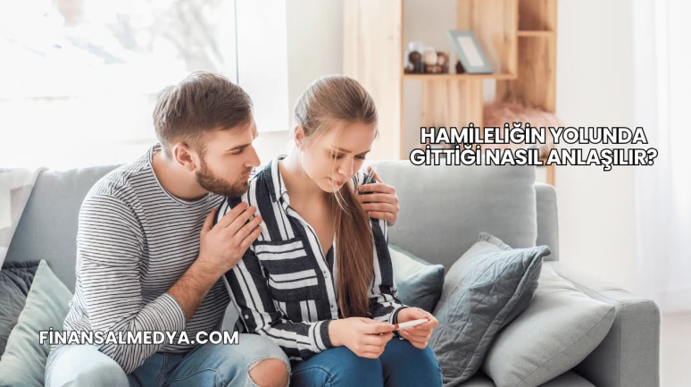 Hamileliğin Yolunda Gittiği Nasıl Anlaşılır?