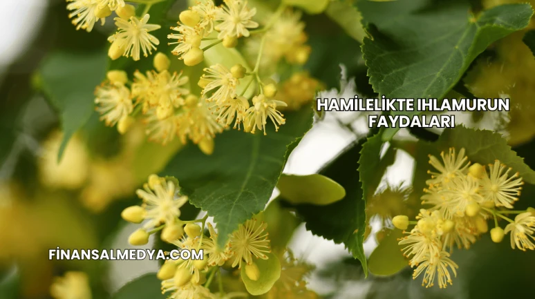 Hamilelikte Ihlamurun Faydaları