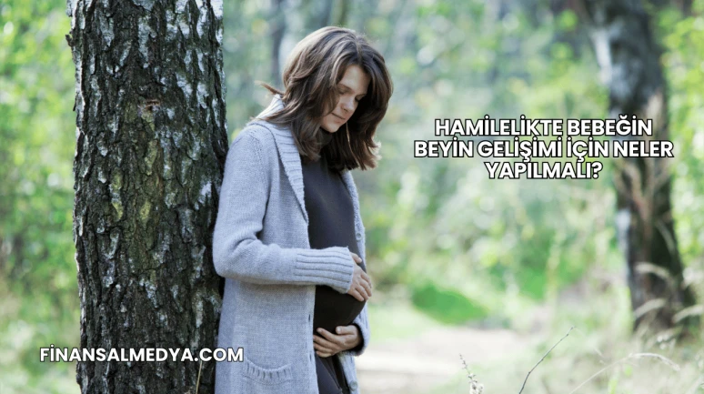 Hamilelikte Bebeğin Beyin Gelişimi İçin Neler Yapılmalı?