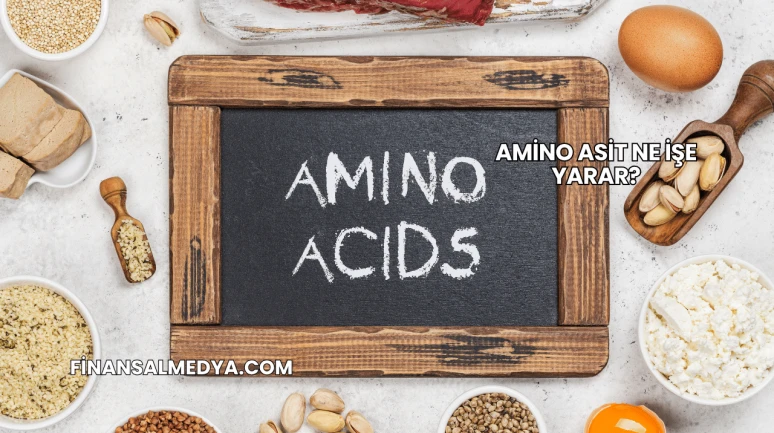 Amino Asit Ne İşe Yarar?