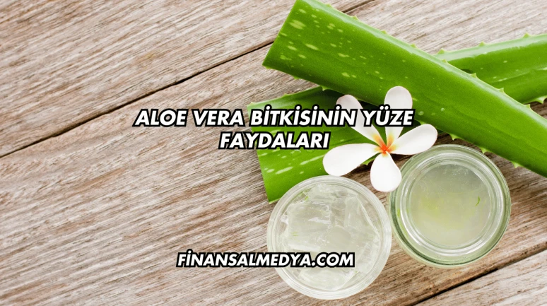 Aloe Vera Bitkisinin Yüze Faydaları