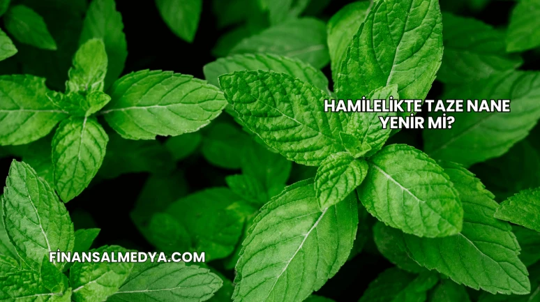 Hamilelikte Taze Nane Yenir mi?