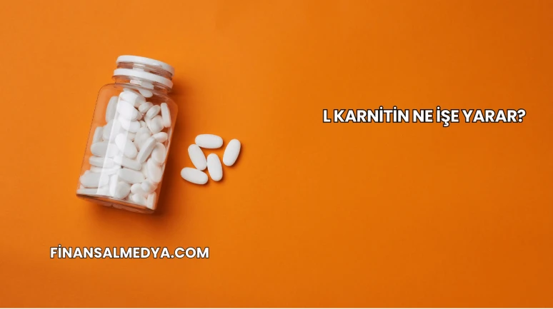 L Karnitin Ne İşe Yarar?
