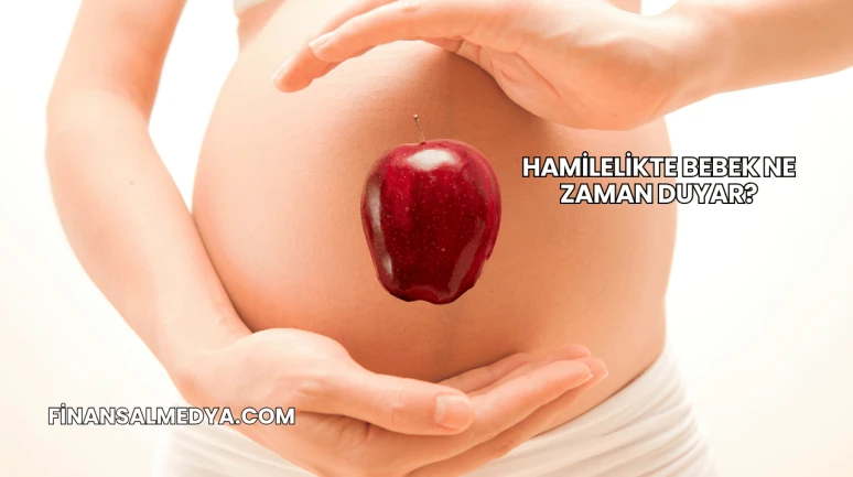 Hamilelikte Bebek Ne Zaman Duyar?