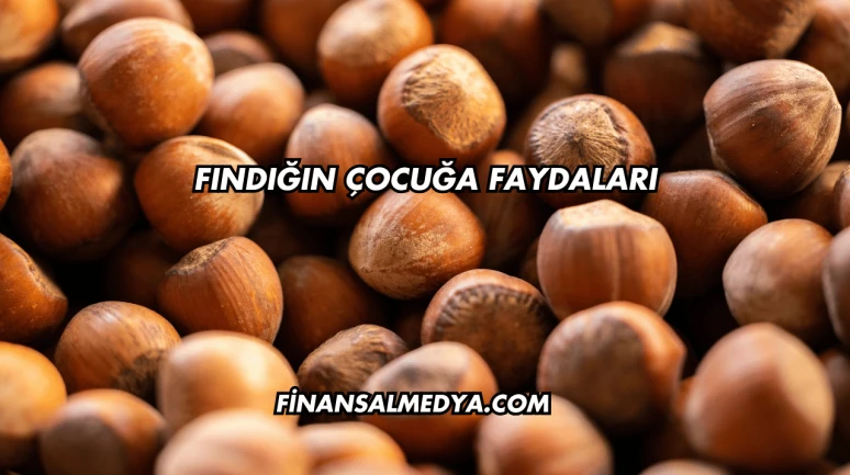 Fındığın Çocuğa Faydaları