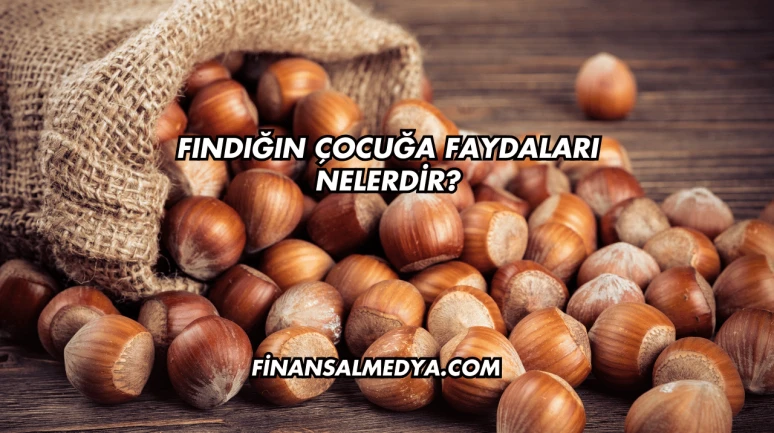 Fındığın Çocuğa Faydaları Nelerdir?