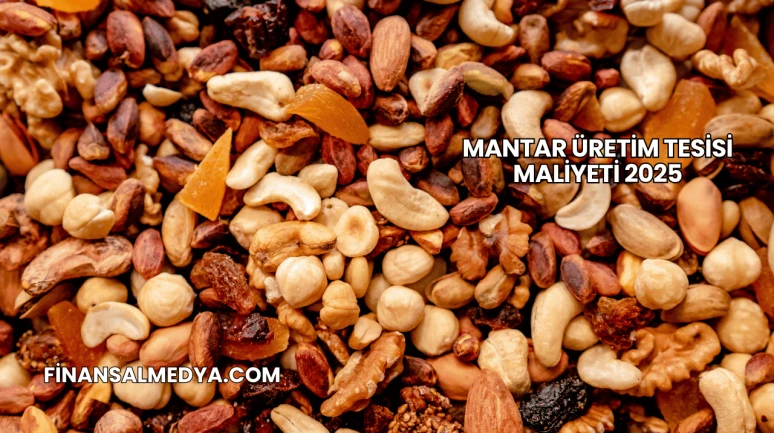 Mantar Üretim Tesisi Maliyeti 2025
