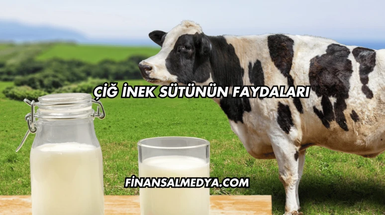 Çiğ İnek Sütünün Faydaları