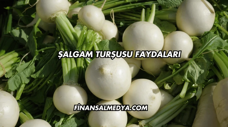 Şalgam Turşusu Faydaları