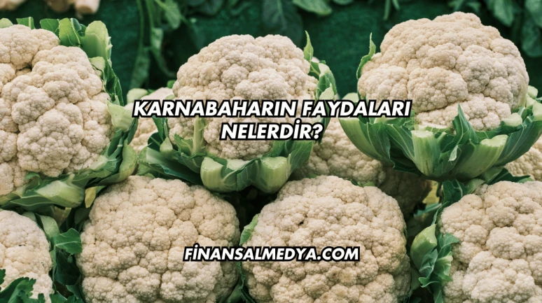 Karnabaharın Faydaları Nelerdir?