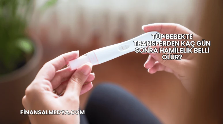 Tüp Bebekte Transferden Kaç Gün Sonra Hamilelik Belli Olur?