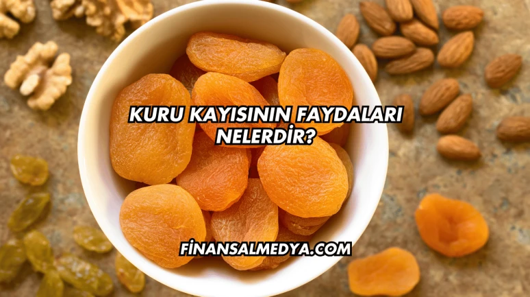 Kuru Kayısının Faydaları Nelerdir?