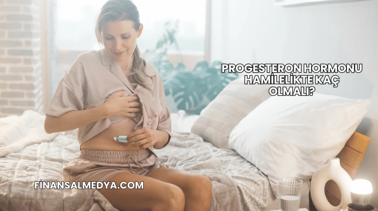 Progesteron Hormonu Hamilelikte Kaç Olmalı?