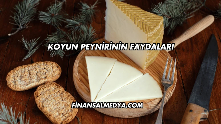 Koyun Peynirinin Faydaları