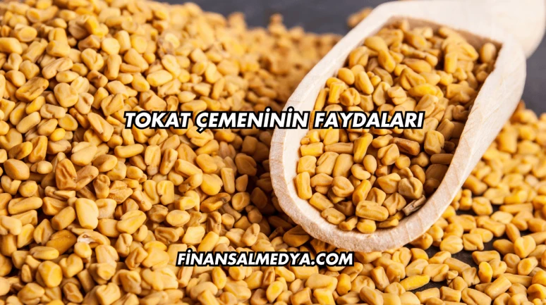 Tokat Çemeninin Faydaları