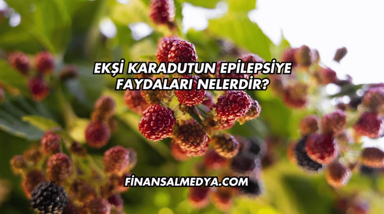 Ekşi Karadutun Epilepsiye Faydaları Nelerdir?