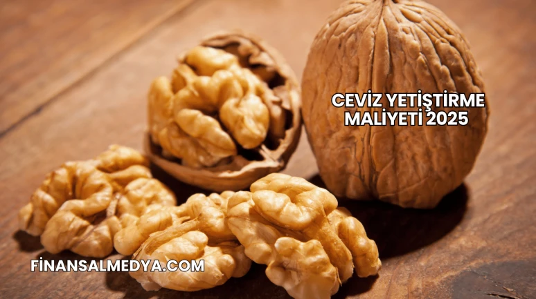 Ceviz Yetiştirme Maliyeti 2025