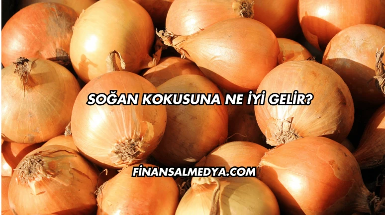 Soğan Kokusuna Ne İyi Gelir?
