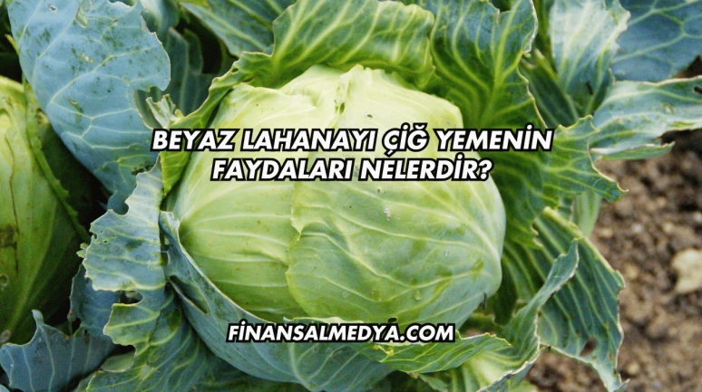 Beyaz Lahanayı Çiğ Yemenin Faydaları Nelerdir?