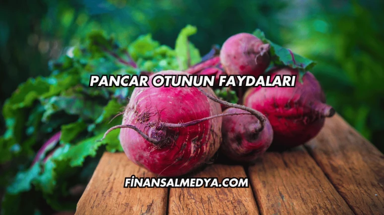 Pancar Otunun Faydaları
