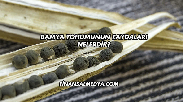 Bamya Tohumunun Faydaları Nelerdir?