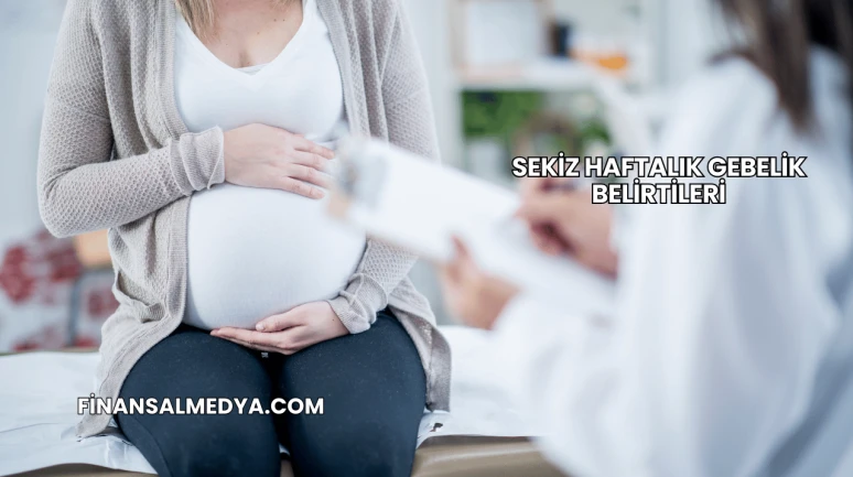 Sekiz Haftalık Gebelik Belirtileri