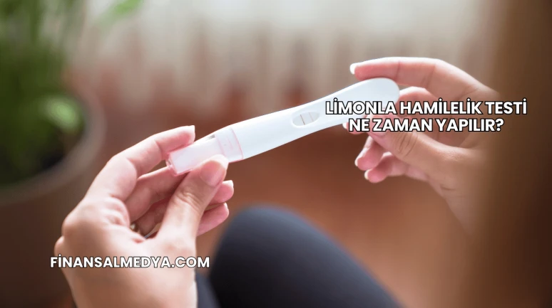 Limonla Hamilelik Testi Ne Zaman Yapılır?