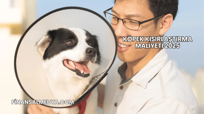 Köpek Kısırlaştırma Maliyeti 2025