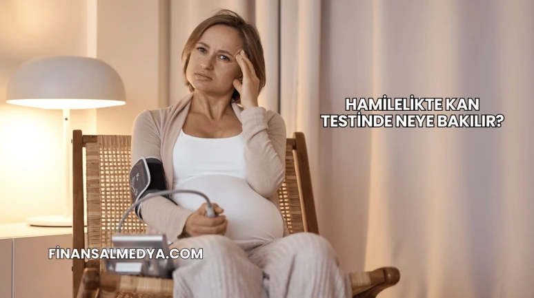 Hamilelikte Kan Testinde Neye Bakılır?