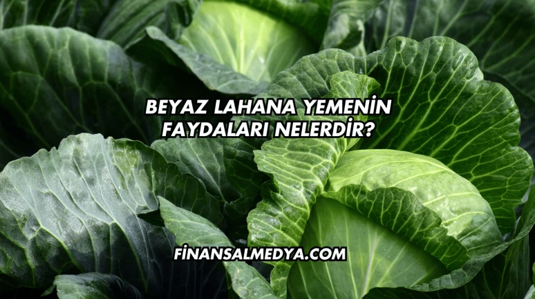 Beyaz Lahana Yemenin Faydaları Nelerdir?