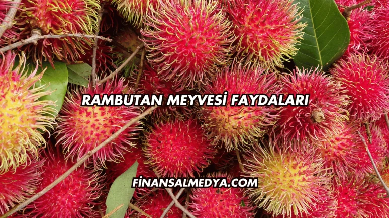 Rambutan Meyvesi Faydaları