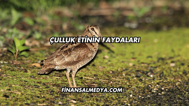 Çulluk Etinin Faydaları