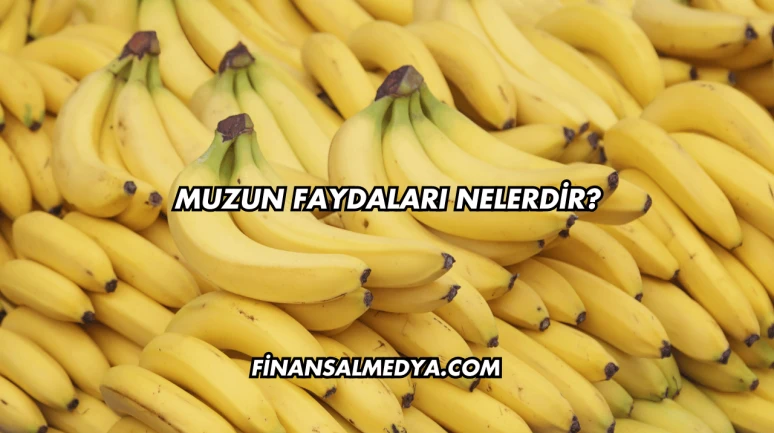 Muzun Faydaları Nelerdir?