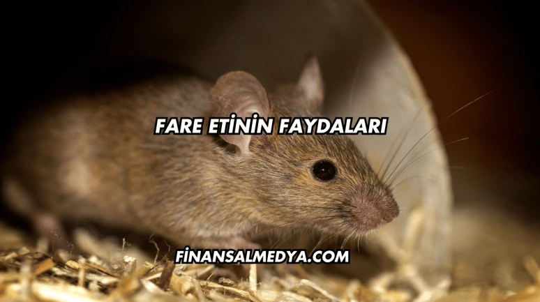 Fare Etinin Faydaları
