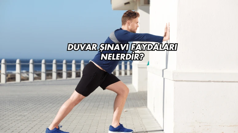 Duvar Şınavı Faydaları Nelerdir?
