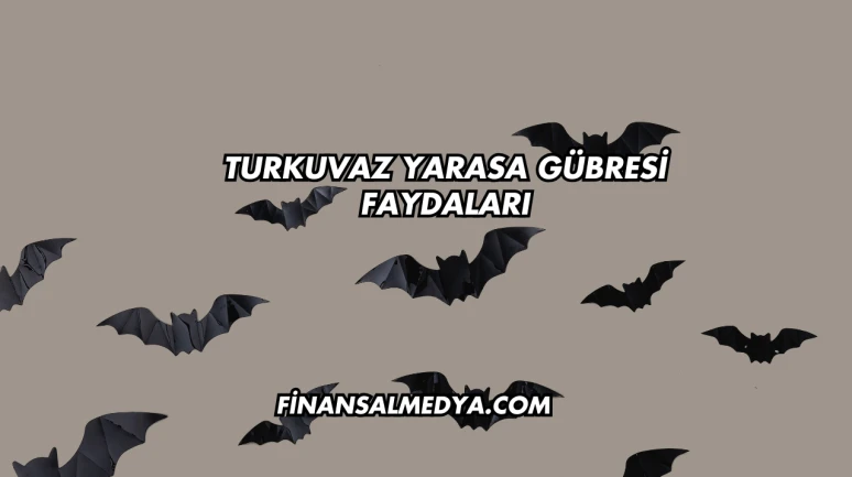 Turkuvaz Yarasa Gübresi Faydaları