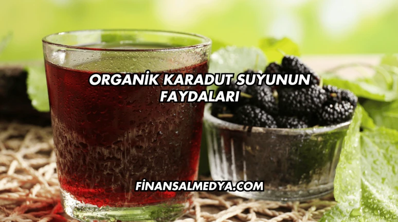 Organik Karadut Suyunun Faydaları