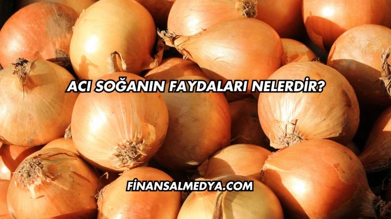 Acı Soğanın Faydaları Nelerdir?