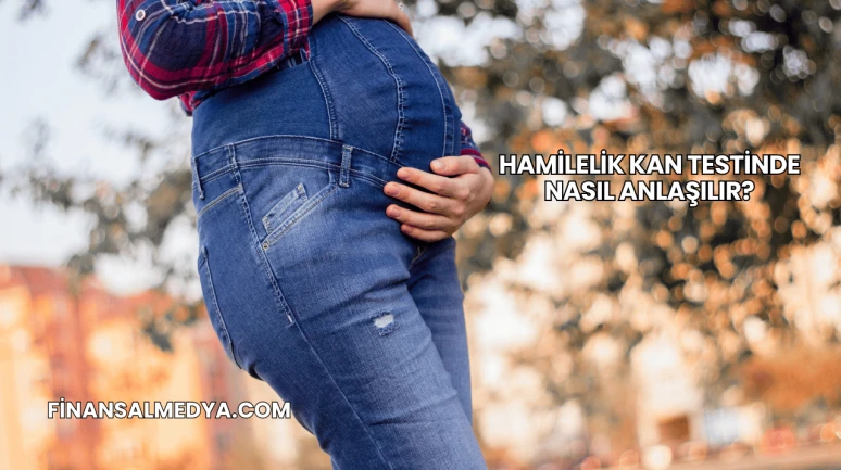 Hamilelik Kan Testinde Nasıl Anlaşılır?
