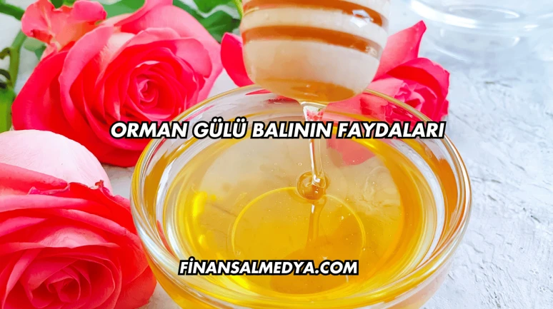 Orman Gülü Balının Faydaları