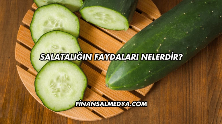 Salatalığın Faydaları Nelerdir?