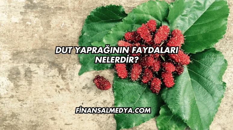 Dut Yaprağının Faydaları Nelerdir?