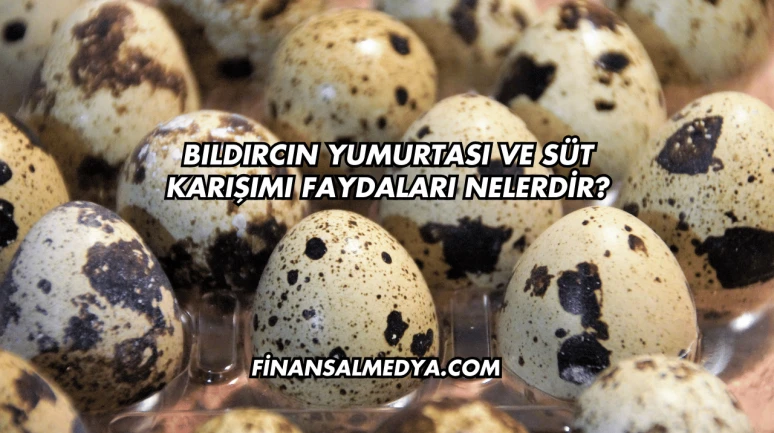 Bıldırcın Yumurtası ve Süt Karışımı Faydaları Nelerdir?