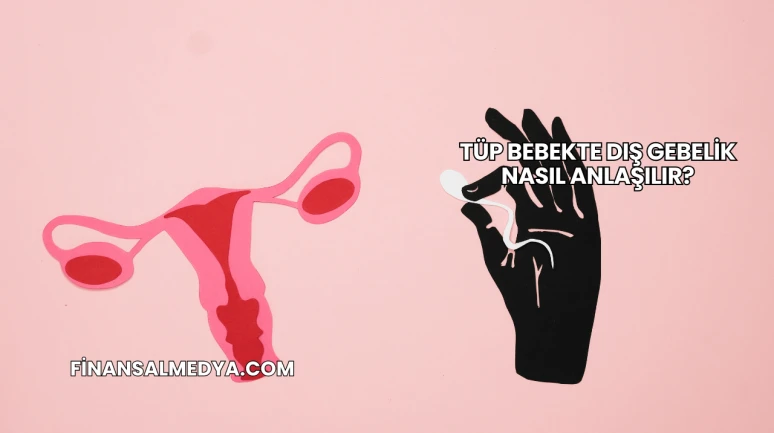 Tüp Bebekte Dış Gebelik Nasıl Anlaşılır?