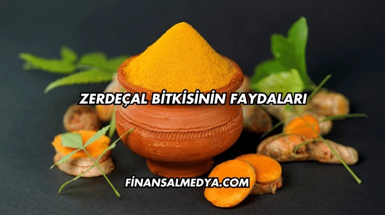 Zerdeçal Bitkisinin Faydaları
