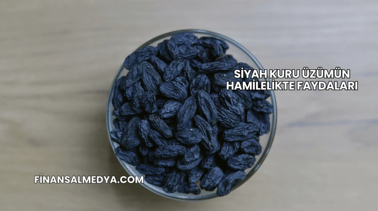Siyah Kuru Üzümün Hamilelikte Faydaları